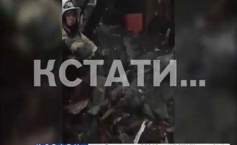 Ми-ми-мишная операция нижегородских пожарных — они спасли от огня щенячий выводок
