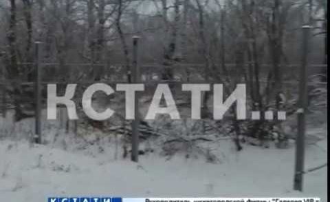 Забор, ставший биологическим оружием, украли жулики в Большемурашкинском районе