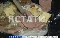 Колбаса с отравой — новые ловушки догхантеров в Нижнем Новгороде