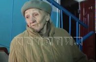 «Нижегородский Хатико» — в Автозаводском районе от тоски по хозяйке погибает дворняга