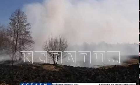 Помощь с неба — жилые дома в Навашинском районе спасают от пожара с привлечением авиации