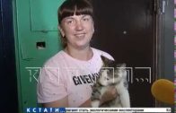 Нижегородские зоозащитники создали альпинистский отряд по спасению животных