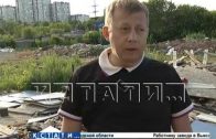 Росприроднадзор требует десятки миллионов рублей с садоводов, пострадавших от нелегальной свалки