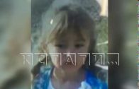 Спецслужбы и сотни волонтеров ищут 5-летнюю девочку пропавшую в Вознесенском районе