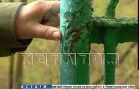 Охотники за цветным металлом совершили налет на Сормовское кладбище