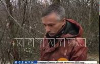 Новая нелегальная свалка выявлена в Дзержинске