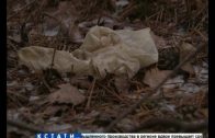 Человеческие ноги запакованные в полиэтилен найдены под Балахной