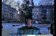 Похоронная елка — коммунальщики шокировали жителей ободранным новогодним деревом