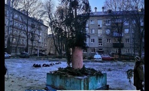 Похоронная елка — коммунальщики шокировали жителей ободранным новогодним деревом