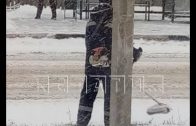 В Арзамасском районе коммунальщики косили снег