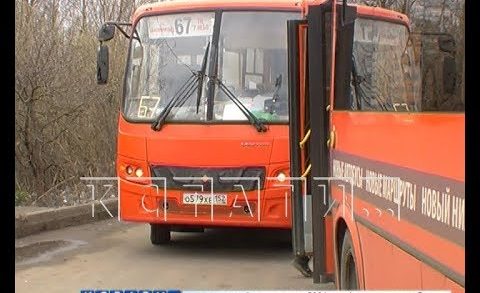 Автобусы, снятые с маршрутов за нарушение санитарных норм, снова вышли на линию