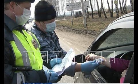 Вирусный блок-пост — в Нижегородской области ввели усиленные меры контроля на дорогах