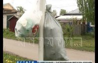 Экономить на безопасности и удобстве жителей решил региональный оператор по сбору мусора