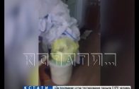 Нарушение или норма — видео, снятое в Кстовской ЦРБ, привело к внутренней проверке