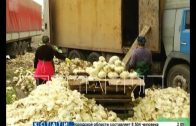 Тухлую капусту превращают в свежую за Бурнаковским продуктовым рынком