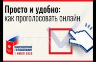 Тестовое электронное голосование проходит в Нижегородской области