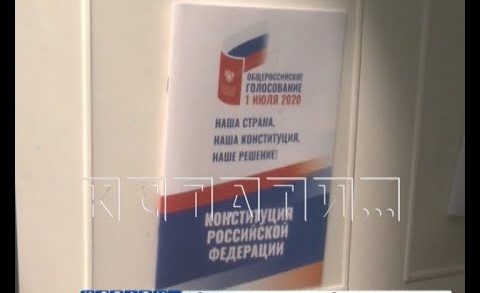 Более миллиона нижегородцев уже проголосовали по поправкам к Конституции