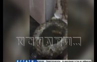 Фекальное извержение — канализацию прорвало прямо в квартиру жителям Московского района