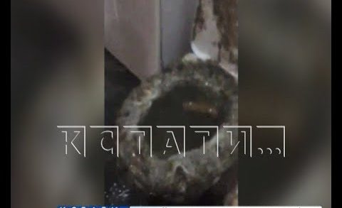 Фекальное извержение — канализацию прорвало прямо в квартиру жителям Московского района