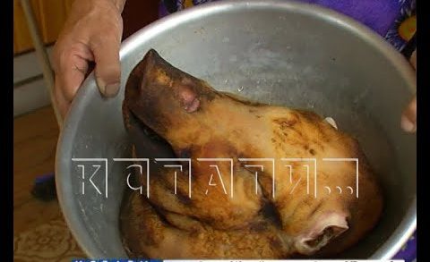 Вспышка чумы свиней в Бутурлинском районе — строгость на словах, халатность на деле