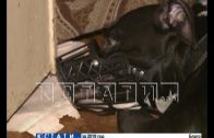 Бойцовый пес в Дзержинске взял в заложники своих хозяев