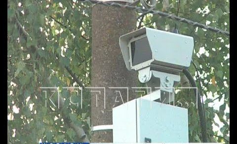 Модернизация камеры видеофиксации нарушений привела к грабежу жителей