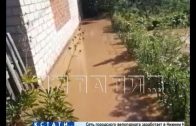 Рукотворный потоп поглотил дома и огороды в микрорайоне Дубенки