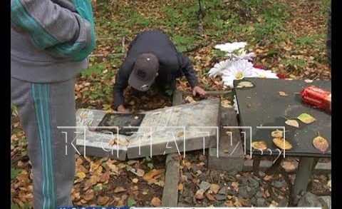 Массовый погром на нижегородском кладбище — разрушены десятки могил