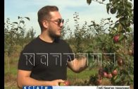 Садоводство будут развивать в Нижегородской области