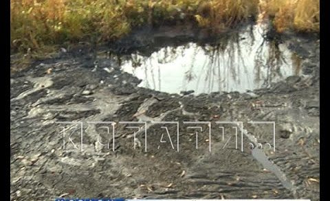 Мазутный детектив — новое нефтяное озеро разлилось в Кстовском районе