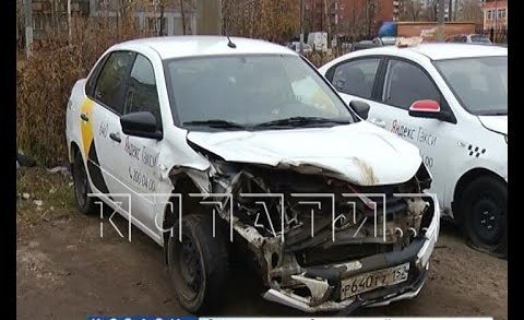Кабан, выскочивший на трассу, протаранил автомобиль на Московском шоссе