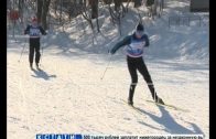 На Щелковском хуторе завершается подготовка к лыжному марафону «Нижний 800»