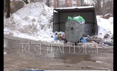 За расчистку неубранных мусорных площадок взялись городские власти