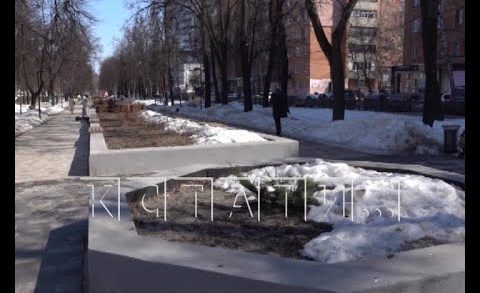Городские власти проверяют общественные пространства после прошедшей зимы