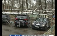 Одна береза раздавила сразу 4 автомобиля в Московском районе