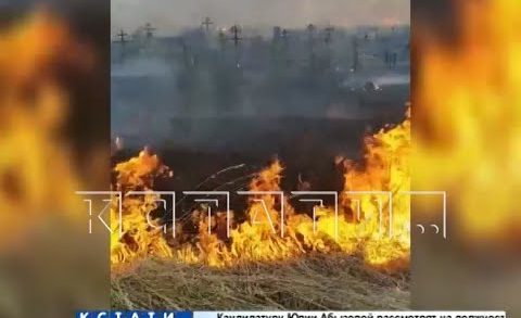 Травяной кошмар — из-за пала травы сгорело кладбище в Богородске