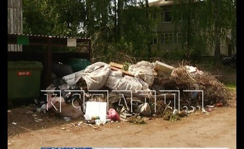 Переваливание мусора из-за переваливания обязанностей — оператор не справляется с вывозом отходов
