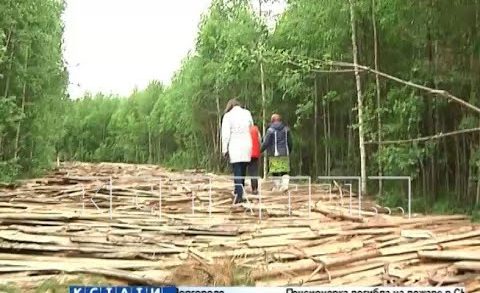Дорогу на кладбище из горбыля — отходов лесопилки — построили в Семеновском районе