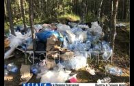 Реконструкторы, перекопавшие дороги ведущие в деревню — вместо уборки спрятали мусор глубоко в лесу