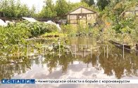 Коммунальная катастрофа в Балахне превратила огороды в болото, в котором вязнут их владельцы
