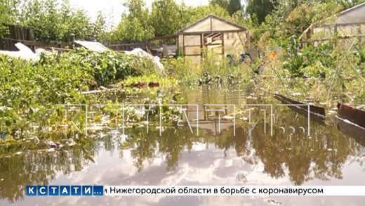 Коммунальная катастрофа в Балахне превратила огороды в болото, в котором вязнут их владельцы