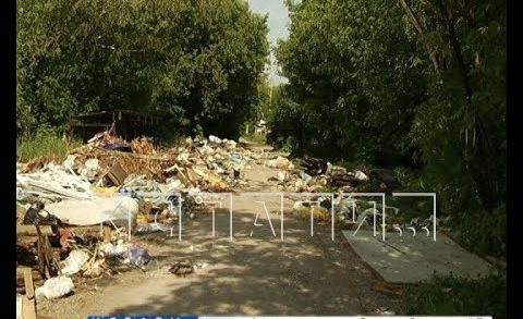Самая большая в городе куча мусора появилась на улице Пахомова
