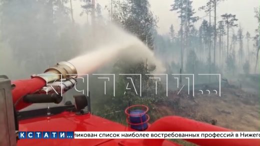 Из-за пожаров в Мордовском заповеднике в Сарове ввели режим ЧС
