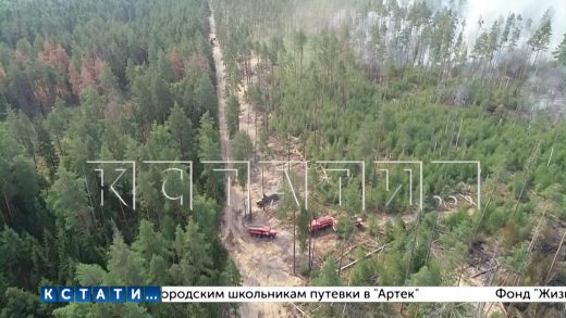 На части территории Навашинского района объявлен режим ЧС из-за мордовских пожаров