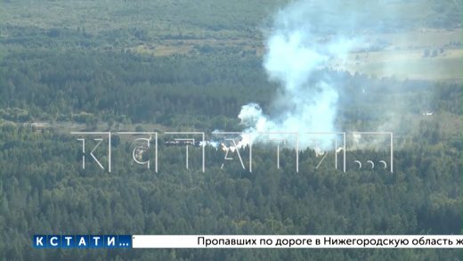 Пожары на юге Нижегородской области остановлены