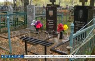2 тонны памятников и оград вынесли грабители за одну ночь с балахнинского кладбища