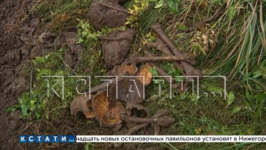 Человеческие останки обнаружены во время благоустройства набережной Федоровского