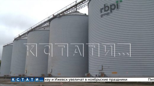В Перевозе запущен крупнейший в Нижегородской области элеваторный комплекс