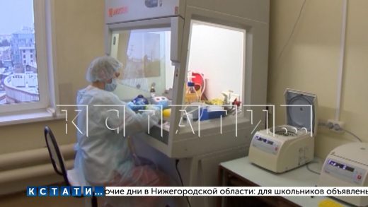 Губернатор разъяснил причины введения нерабочих дней в Нижегородской области