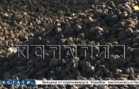 Сотни тонн картофеля сгноили на опушке леса в Шатковском районе